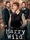 Harry Wild : Series 5