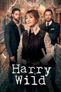 Harry Wild - Posters