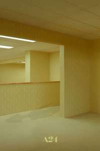 Backrooms - Posters