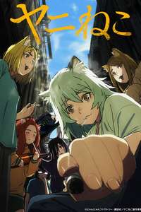 Chainsmoker Cat - Posters
