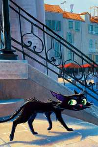 Gatto - Posters