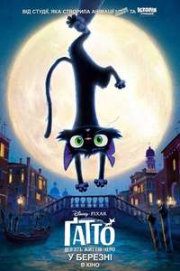 Gatto - Posters
