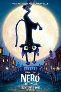 Gatto - Posters
