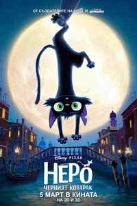 Gatto - Posters