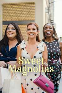 Sweet Magnolias - Posters