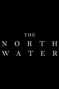 The North Water - Posters