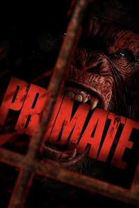 Primate - Posters
