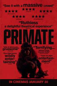 Primate - Posters