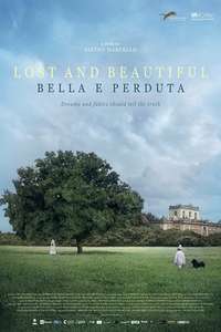 Lost and Beautiful - Posters