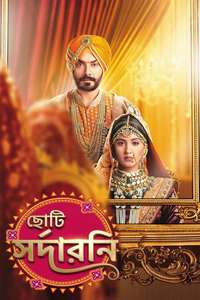 Choti Sarrdaarni - Posters
