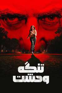 Cape Fear - Posters