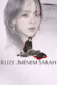 The Art of Sarah - Posters