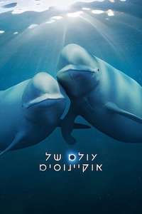 Our Oceans - Posters