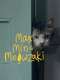 Max  Min and Meowzaki