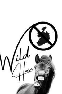 Wild Horse Nine - Posters