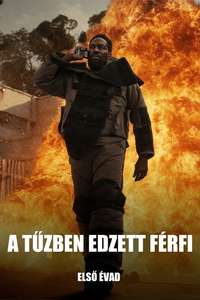 Man on Fire - Posters