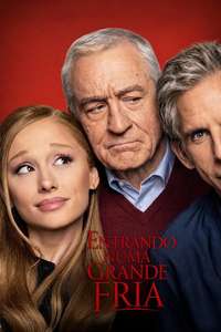 Focker-In-Law - Posters