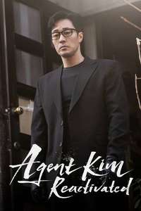 Agent Kim Reactivated - Posters