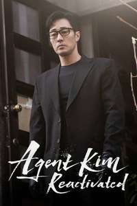 Agent Kim Reactivated - Posters
