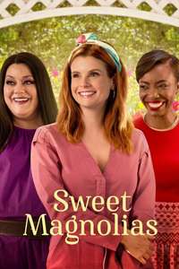 Sweet Magnolias - Posters