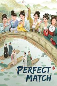 Perfect Match - Posters