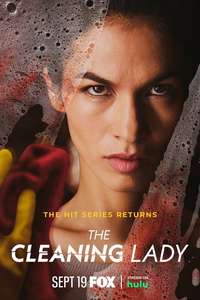 The Cleaning Lady - Posters