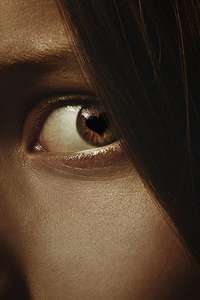 Obsession - Posters