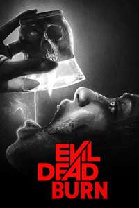 Evil Dead Burn - Posters