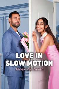 Love in Slow Motion - Posters