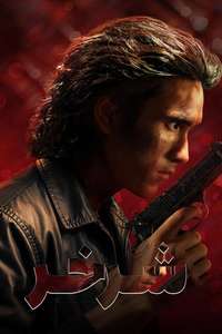 The Debt Collector - Posters