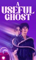 A Useful Ghost