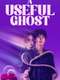 A Useful Ghost