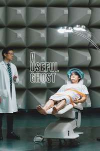 A Useful Ghost - Posters