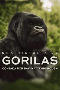 A Gorilla Story: Told by David Attenborough - Posters