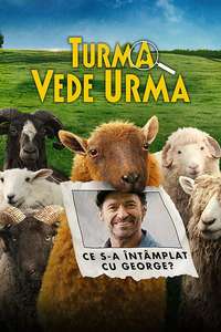 The Sheep Detectives - Posters