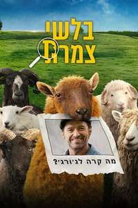 The Sheep Detectives - Posters