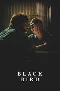 Black Bird - Posters