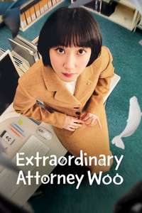 Extraordinary Attorney Woo - Posters