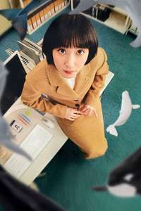 Extraordinary Attorney Woo - Posters