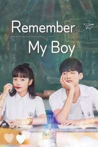 Remember My Boy - Posters