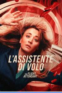 The Flight Attendant - Posters