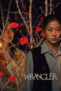 Wrangler - Posters