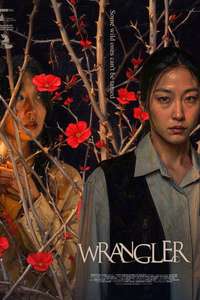 Wrangler - Posters