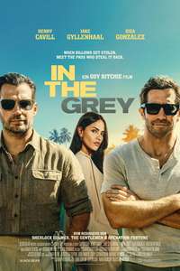 In the Grey - Posters