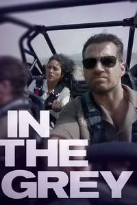 In the Grey - Posters