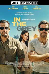 In the Grey - Posters
