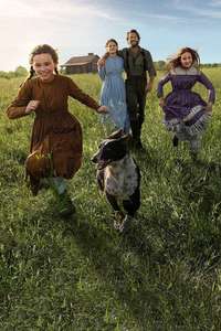 Little House on the Prairie - Posters