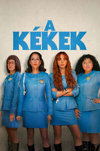 Women in Blue - Posters