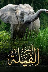 Secrets of The Elephants - Posters