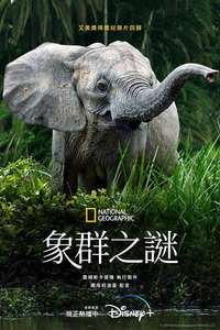 Secrets of The Elephants - Posters